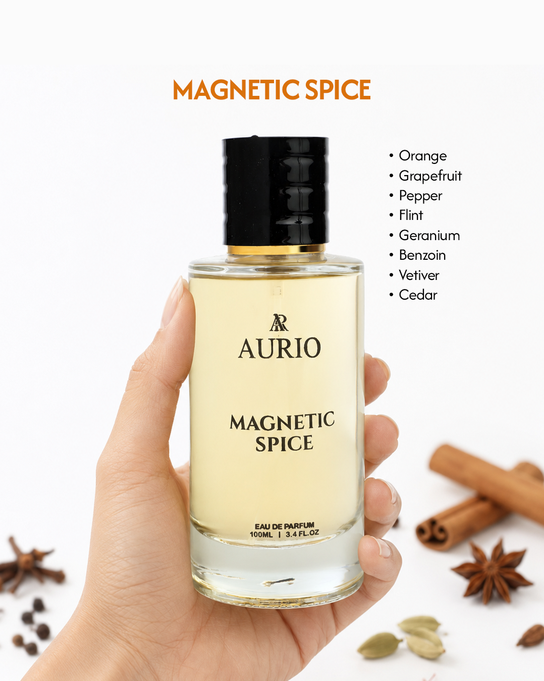 MAGNETIC SPICE