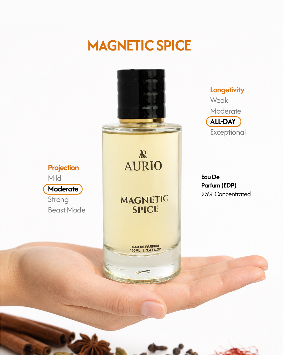 MAGNETIC SPICE