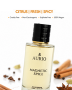 MAGNETIC SPICE